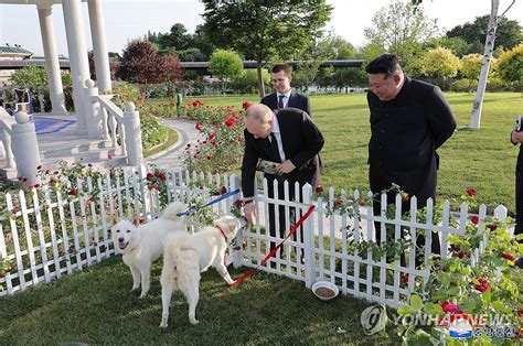 (LEAD) Kim gifts pair of Pungsan dogs to Putin after summit: KCNA | Yonhap News Agency