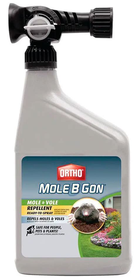 Voles Causing Problems in Your Yard? Choose the Right Vole Repellent ...