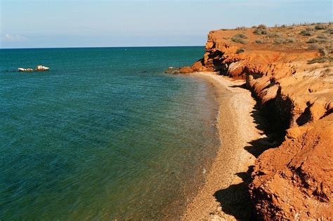 Aerial view of ocean beach free image download