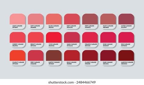 Carmine Color Palette Carmine Color Guide Stock Vector (Royalty Free) 2484466749 | Shutterstock