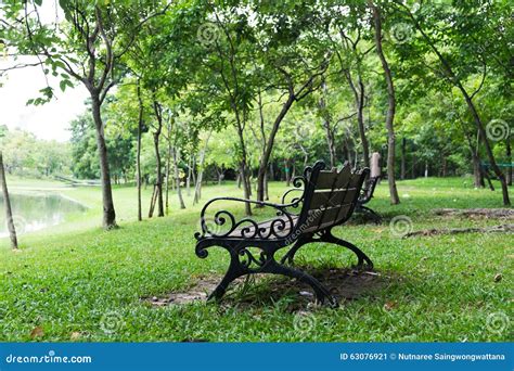 Bench in central park stock image. Image of resource - 63076921