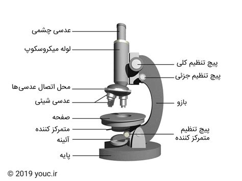 میکروسکوپ چگونه کار می‌کند؟ - You Can