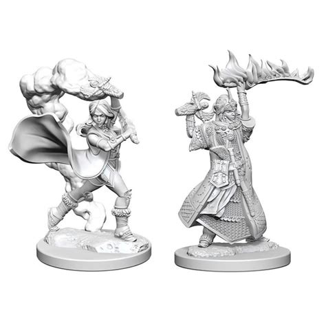 Human Cleric (Female) - Dungeons & Dragons Miniatures, Hobbies & Toys ...