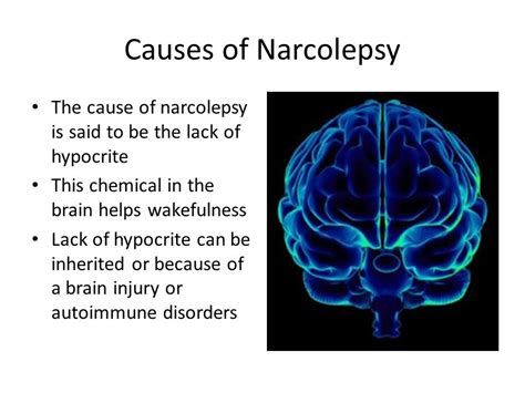 Narcolepsy Brain Damage