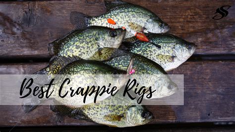 Crappie Fishing: Top Five Most Effective Crappie Rigs