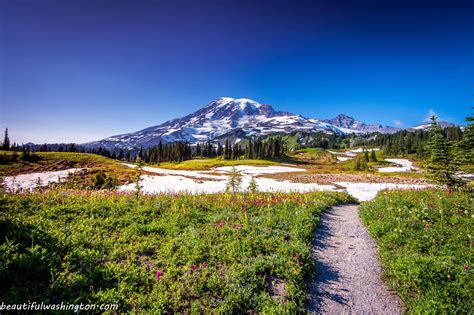 Mount Rainier: Deceptive enchantment of the most prominent Washington ...