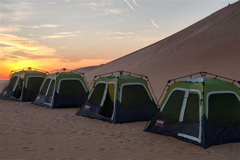 Liwa Oasis Overnight Camping Trip with Dinner and Breakfast 2024 - Abu Dhabi