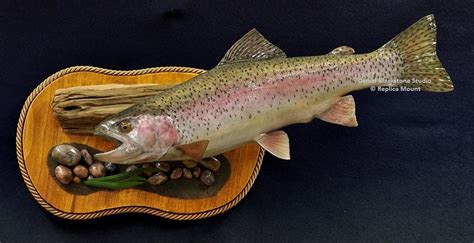 Rainbow Trout Fiberglass Fish Replicas & Reproductions