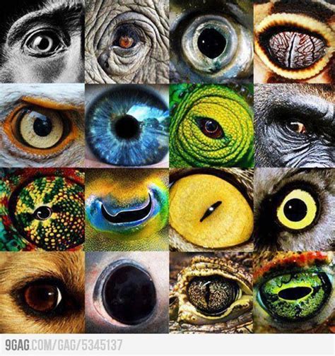 Pin by Nat_03 on Vibrant Colourful Things | Eye art, Realistic eye drawing, Eye drawing