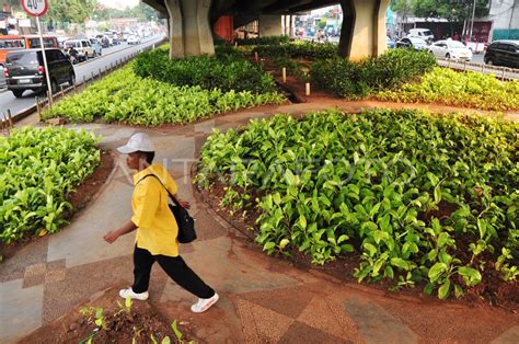 RUANG TERBUKA HIJAU JAKARTA | ANTARA Foto