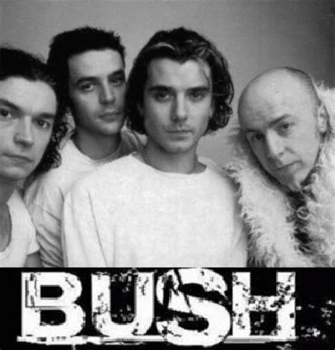 Who is Bush?. Bush is a grunge band that was formed… | by Allysa De Leon | Pridesource Today ...