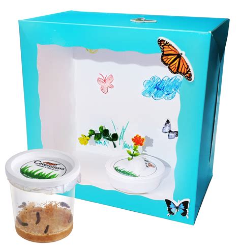 Live Butterfly Kits - Butterfly and Nature Gifts