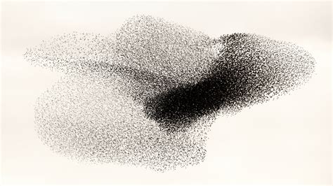 The Transfixing Beauty of Starling Murmurations - The New York Times