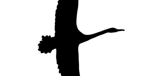 Flying Swan Silhouette Stencil Template Swan at www.milliande-printable.com Bird Silhouettes of ...