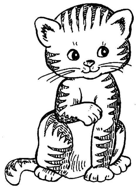 Free kitten clipart the cliparts - Clipartix