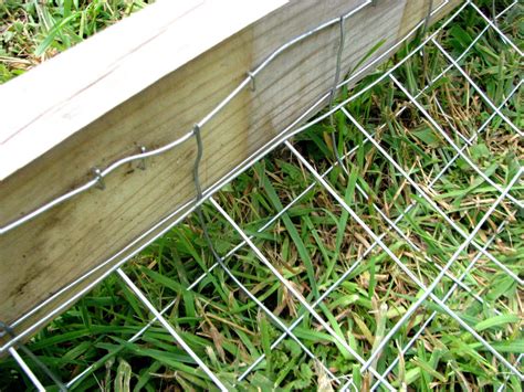 Dog proof fence | Dog proof fence, Diy dog fence, Dog fence