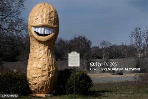 Jimmy Carter Peanut Statue Photos and Premium High Res Pictures - Getty ...