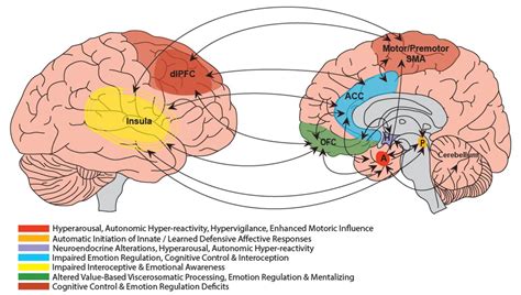 Emotional processing in functional neurological disorder: a review, biopsychosocial model and ...