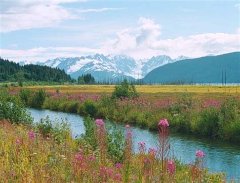 Grant and Susan in Alaska | Horizons Unlimited