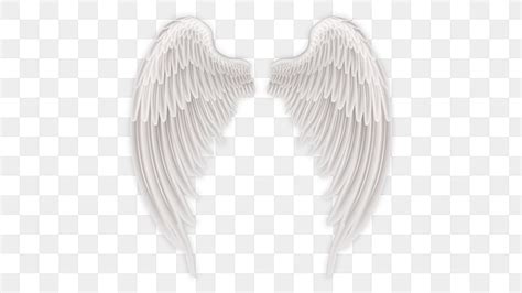 Angel Wings PNG Transparent Images Free Download | Vector Files | Pngtree