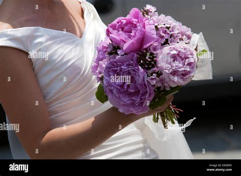 bride with violet wedding bouquet Stock Photo - Alamy