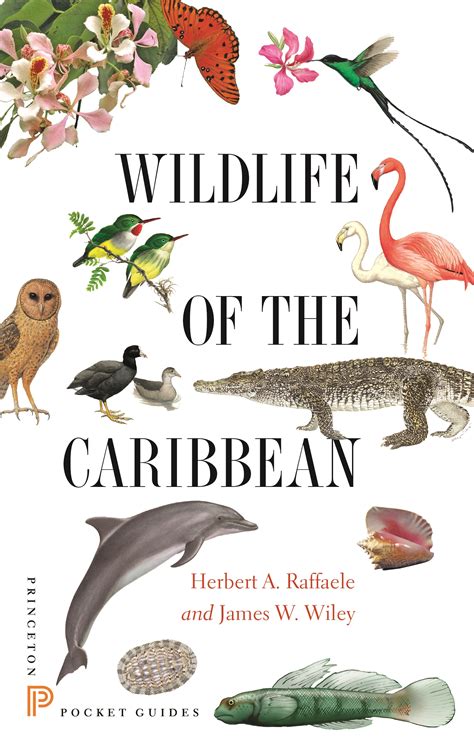 Wildlife of the Caribbean | Princeton University Press