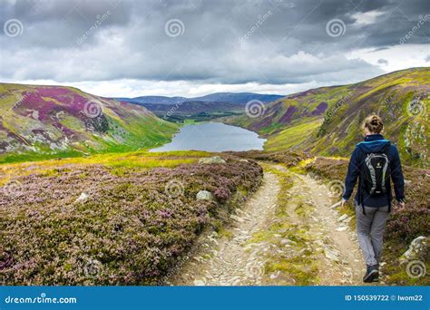 Hiking Trail in Cairngorm Mountains, Scotland, UK Editorial Photography ...