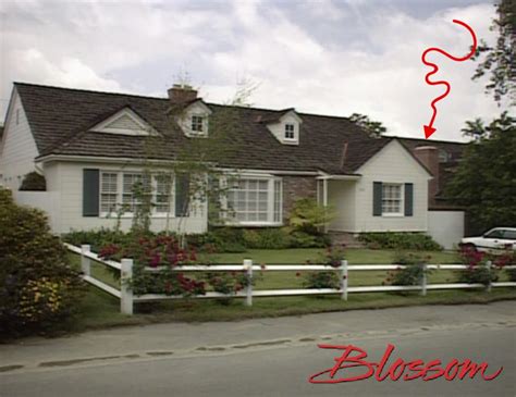 The “Blossom” House – IAMNOTASTALKER