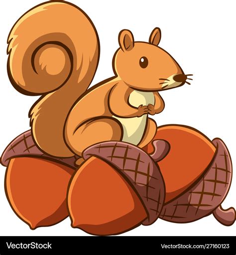 Squirrel with acorns on white background Vector Image