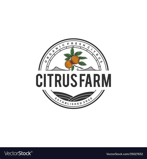 Citrus logo with a vintage style design Royalty Free Vector