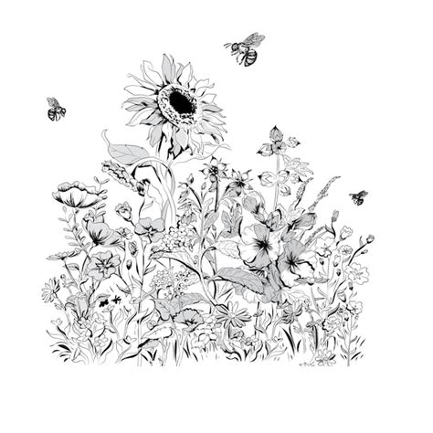 Premium Vector | Wild sunflower with bee hand drawing vector illustration