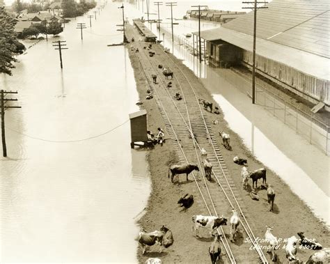 History in Photos: 1927 Flood