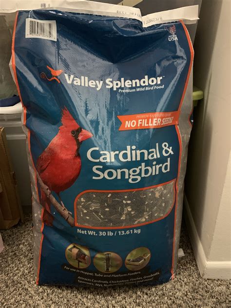 5 Ways to Attract Cardinals to a Bird Feeder - BIRD BITES