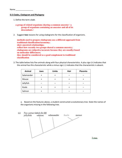 Cladogram Worksheet Answers — db-excel.com