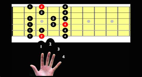 Start Learning Guitar Scales Here is What You Need to Know