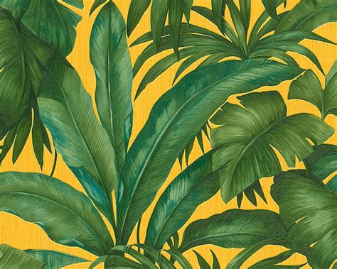 Banana Leaves Wallpapers - Top Free Banana Leaves Backgrounds - WallpaperAccess