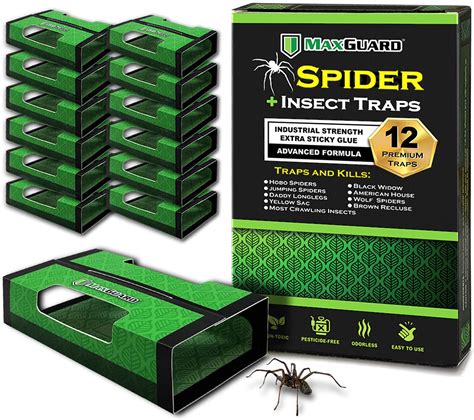 Buy MaxGuard Spider + Insect Traps (12 Box Traps) | Non-Toxic Extra ...