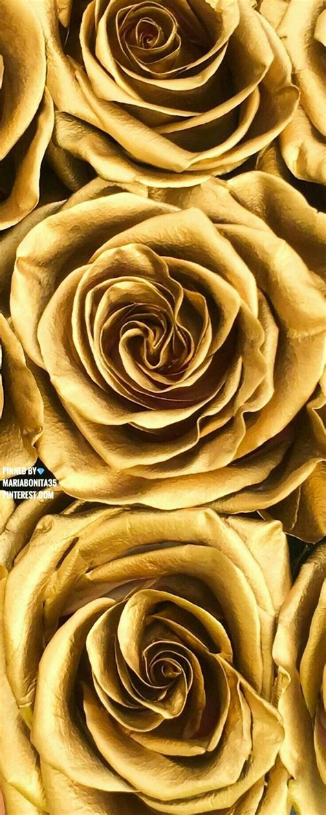 Rose gold Flower Background Iphone, Gold Wallpaper Background, Flower Wallpaper, Wallpaper ...