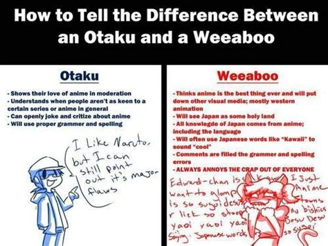 True meaning of otaku | Anime Amino