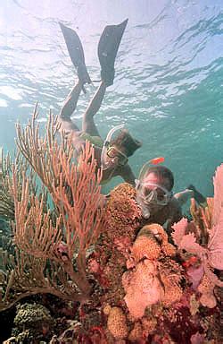 Florida Keys Snorkeling Brings Sights to Behold