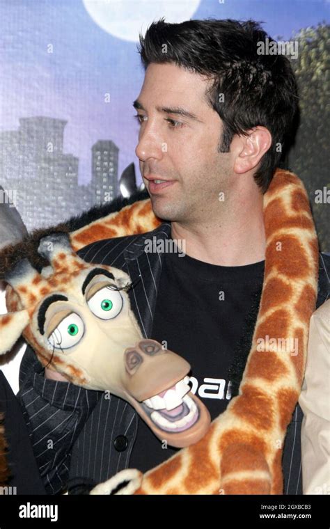 David Schwimmer at the Madagascar photocall held at the Mandarin Hotel ...