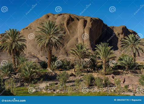 Morocco. Oasis of Fint stock photo. Image of hill, africa - 286350778