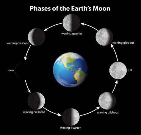 Fases de la luna 606225 Vector en Vecteezy