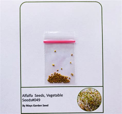 Alfalfa Seeds, Vegetable Seeds#049 – Mays Garden Seed