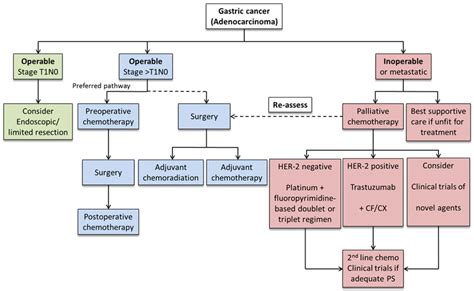 Current trends in gastric cancer treatment in Europe