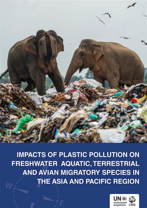 Effects Of Plastic Pollution On Animals