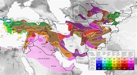 Pacific Bulb Society | Mediterranean (Summer-Dry) Climates