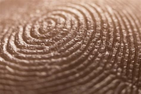 How did I get my own unique set of fingerprints?