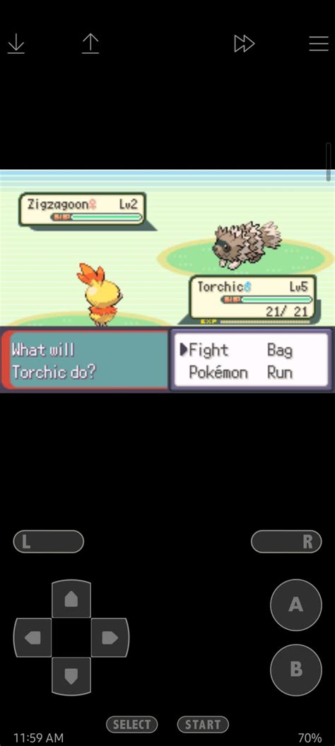 Just started Inclement Emerald, Already off to a great start : PokemonROMhacks