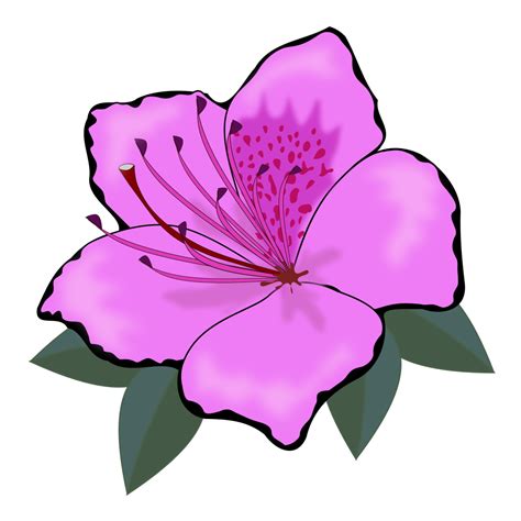 OnlineLabels Clip Art - Flower